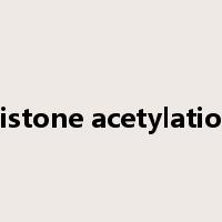 histone acetylation是什么意思
