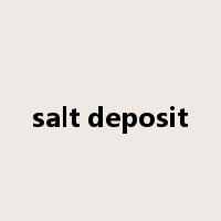 salt deposit是什么意思