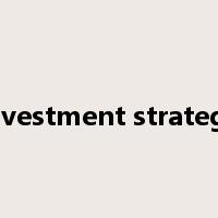 investment strategy是什么意思