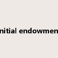 initial endowment是什么意思