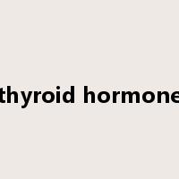 thyroid hormone是什么意思
