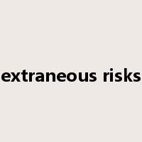 extraneous risks是什么意思