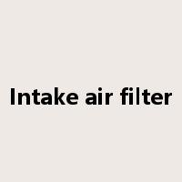 Intake air filter是什么意思