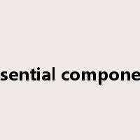 essential component是什么意思