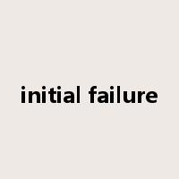 initial failure是什么意思