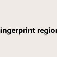 fingerprint region是什么意思