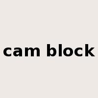 cam block是什么意思
