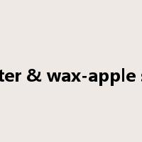 Lobster & wax-apple salad是什么意思