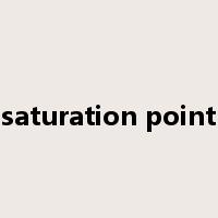 saturation point是什么意思