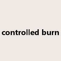 controlled burn是什么意思
