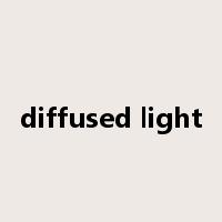 diffused light是什么意思