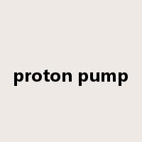 proton pump是什么意思
