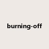 burning-off是什么意思