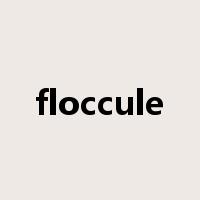 floccule是什么意思