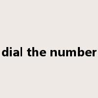 dial the number是什么意思