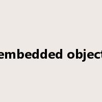 embedded object是什么意思