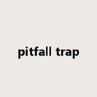 pitfall trap是什么意思