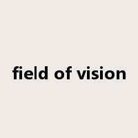 field of vision是什么意思