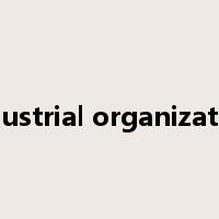 industrial organization是什么意思