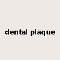 dental plaque是什么意思