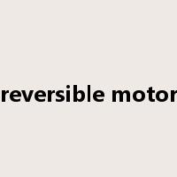 reversible motor是什么意思