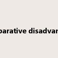 comparative disadvantage是什么意思