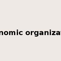 economic organization是什么意思