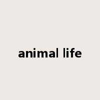 animal life是什么意思