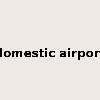 domestic airport是什么意思