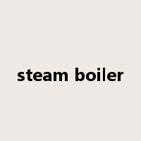 steam boiler是什么意思