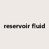 reservoir fluid是什么意思