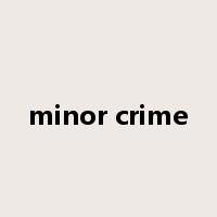 minor crime是什么意思