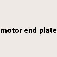 motor end plate是什么意思