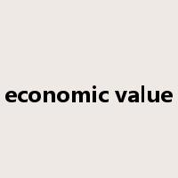 economic value是什么意思