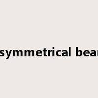 Asymmetrical beam是什么意思