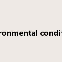 environmental conditions是什么意思