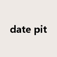 date pit是什么意思