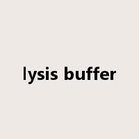 lysis buffer是什么意思