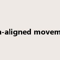 non-aligned movement是什么意思