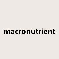 macronutrient是什么意思