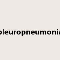 pleuropneumonia是什么意思