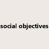 social objectives是什么意思