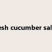 fresh cucumber salad是什么意思