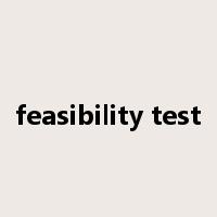 feasibility test是什么意思