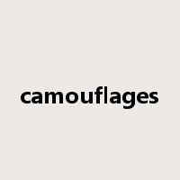 camouflages是什么意思