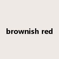 brownish red是什么意思