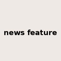 news feature是什么意思