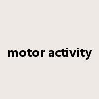 motor activity是什么意思