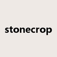 stonecrop是什么意思