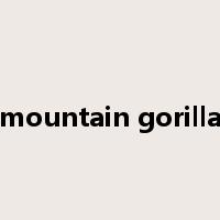 mountain gorilla是什么意思
